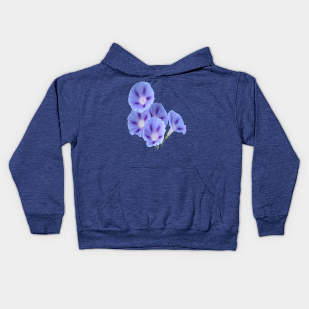 Convolvulus Bindweed Botanical Vector Art Kids Hoodie by taiche